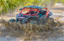 JJC TOURS BUGGY SRL4