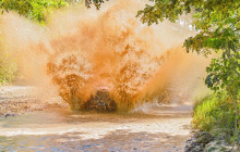 JJC TOURS BUGGY SRL9