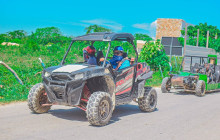 JJC TOURS BUGGY SRL20