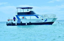 JJC TOURS BUGGY SRL14