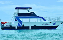 JJC TOURS BUGGY SRL16