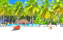 JJC TOURS BUGGY SRL23