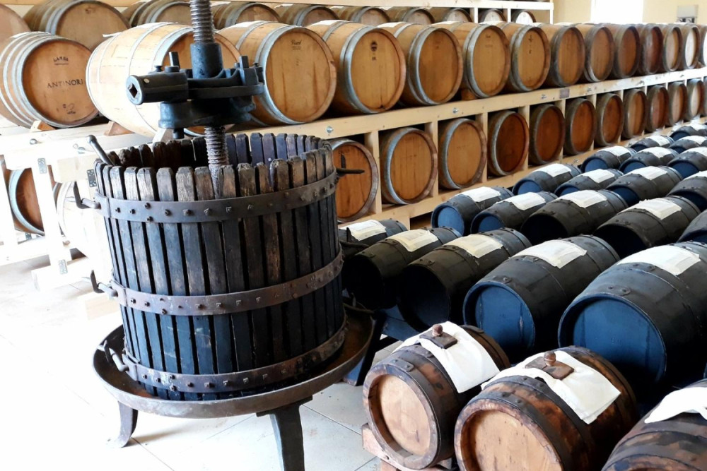 Food Valley Gems: Gourmet Morning & Vineyard Light