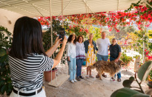 Philema Food Tours76