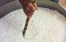Philema Food Tours93