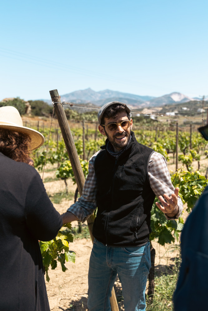 Small Group Naxos - Cheese & Wine Trails