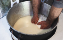 Philema Food Tours12