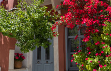 Philema Food Tours143