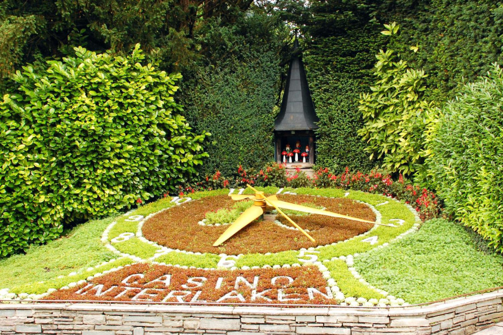 Interlaken, Grindelwald, & Lauterbrunnen from Geneva
