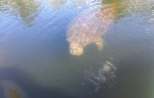 River Wild Kayaking1