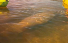 River Wild Kayaking2