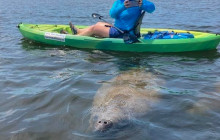 River Wild Kayaking3