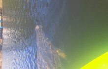 River Wild Kayaking4