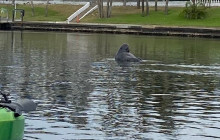 River Wild Kayaking6