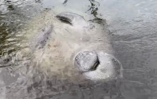 River Wild Kayaking9