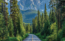 The Mountain Explorer Co.4