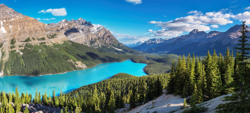 Private Lake Louise, Moraine, Peyto & Johnston Canyon Tour