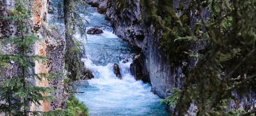 Private Lake Louise, Moraine, Peyto & Johnston Canyon Tour