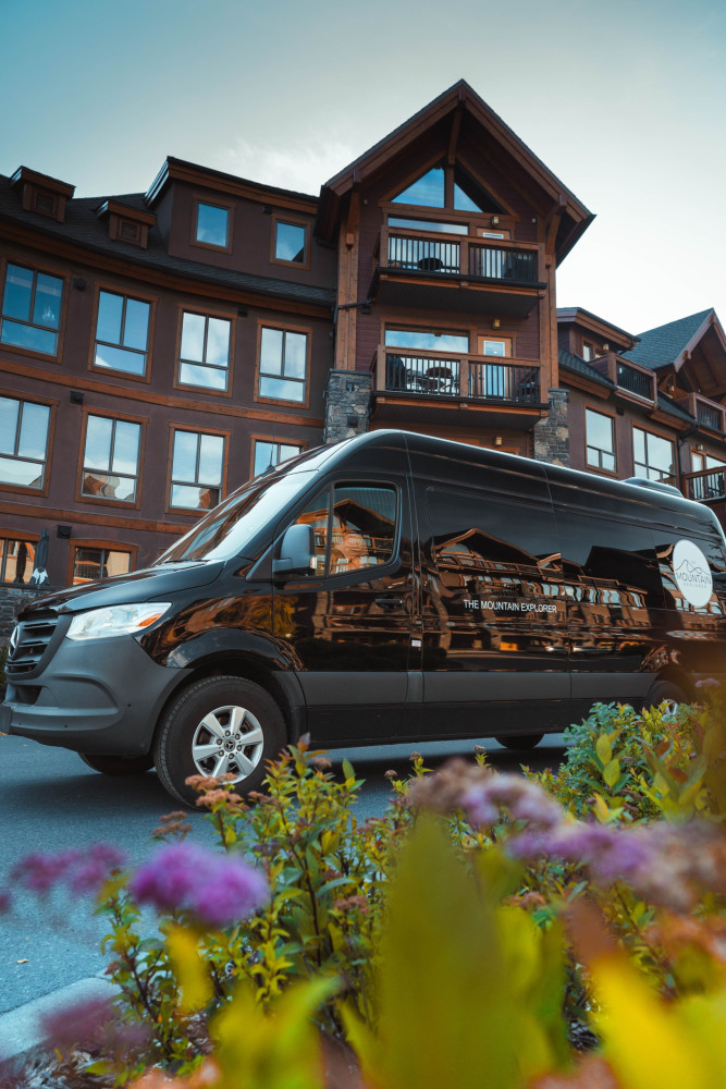 The Mountain Explorer Co.