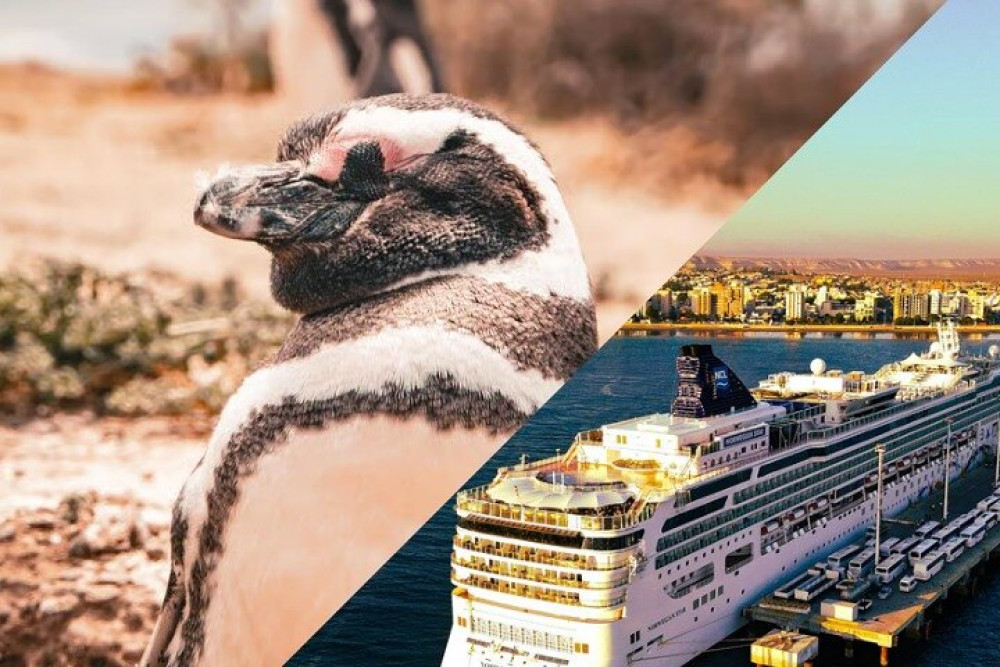 Shore Tours: Punta Tombo Cruise Ship Passengers Puerto Madryn