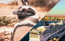 Animal Travel1