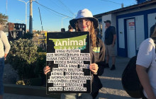 Animal Travel2