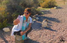 Animal Travel5
