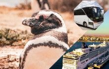 Animal Travel2