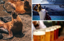 Animal Travel1