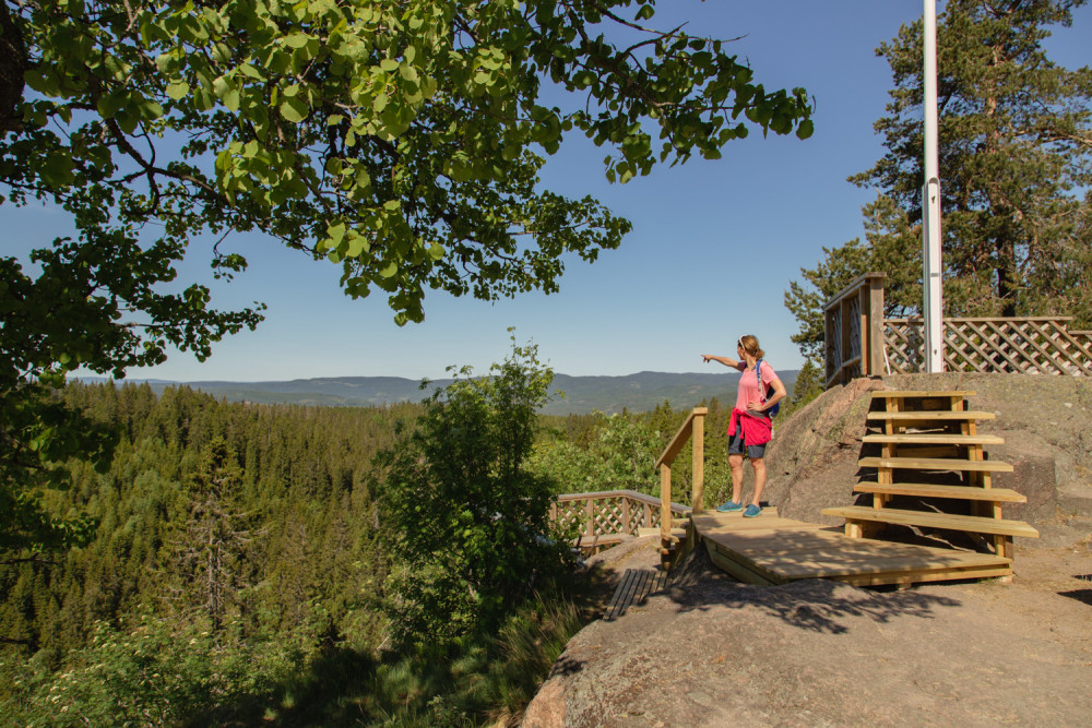 Private Wildlife Forest Hike to Skjennungstoppen from Oslo