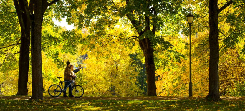 Private Highlights of Oslo by Bike