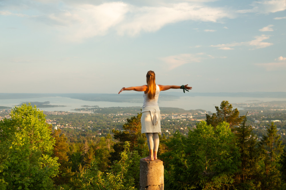 Best View of the Oslofjord Walk Group Tour from Frognerseteren