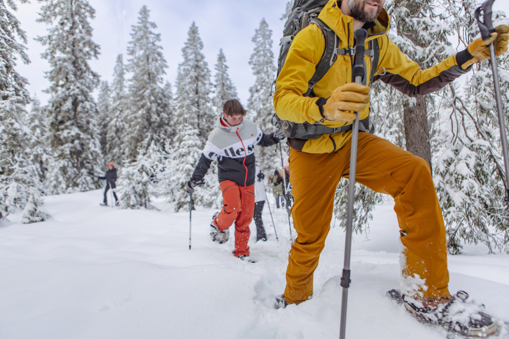 Private Snowshoe in Winter Wonderland Tour