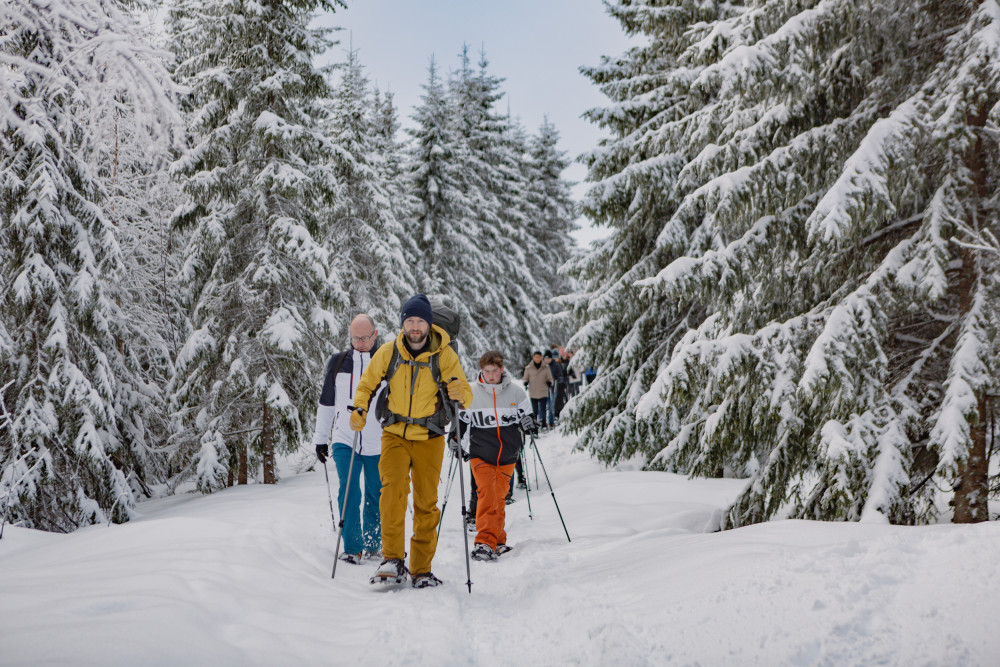 Private Snowshoe in Winter Wonderland Tour