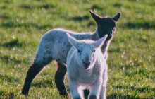 Brighton & Beyond Tour4