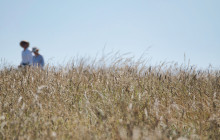 Brighton & Beyond Tour5