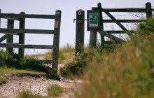 Brighton & Beyond Tour6