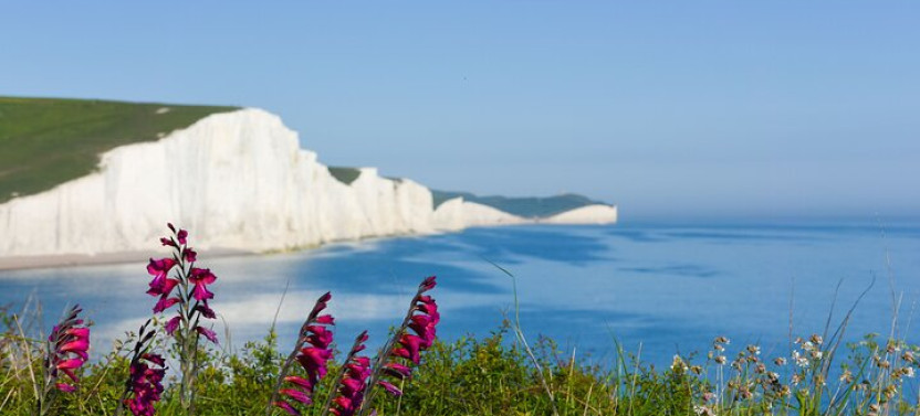 Seven Sisters and Brighton Tour with Train Tickets