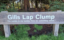 Brighton & Beyond Tour8