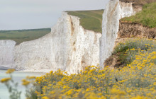 Brighton & Beyond Tour5