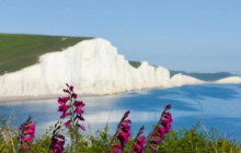 Brighton & Beyond Tour7