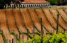 Letango Tours1