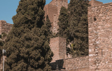 Letango Tours3