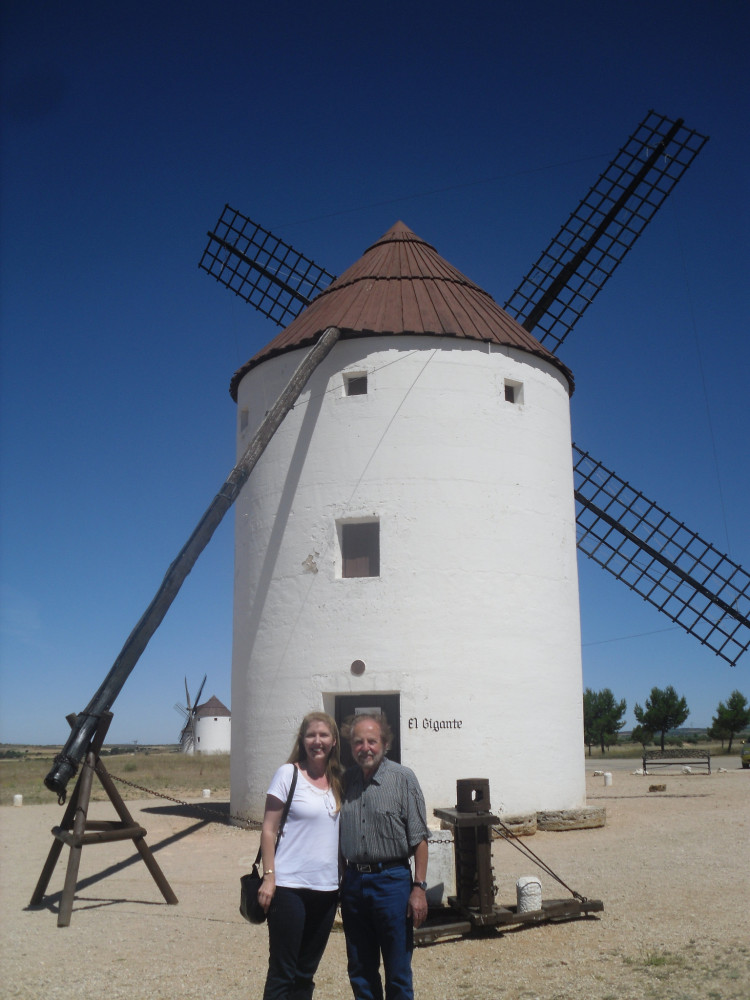 Private La Mancha Day Trip Following the Footsteps of Don Quixote