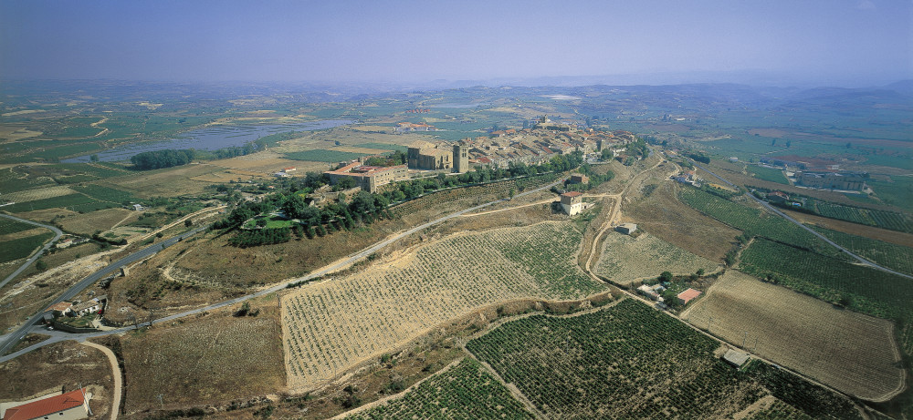 Private Day Trip to Rioja Alavesa Wine Region from Bilbao