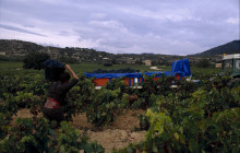 Letango Tours6