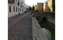 Letango Tours3