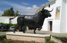 Letango Tours1