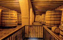 Letango Tours13