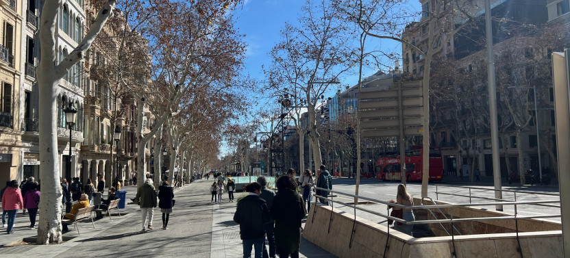 Private Panoramic Driving Tour of Barcelona with Hotel Pickup, photo 4 of 9